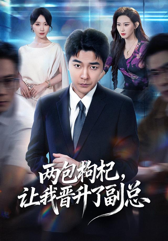 两包枸杞，让我晋升了副总(全集)